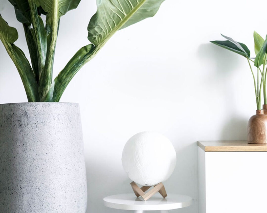 Design-Nation Publishes ’20 Makers, 20 Objects’